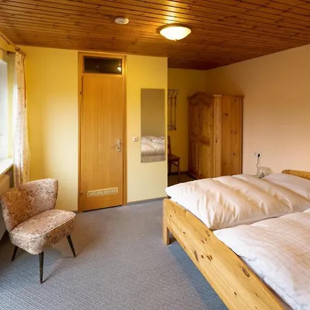 Guest house Ferienpension Fremuth Ruhmannsfelden